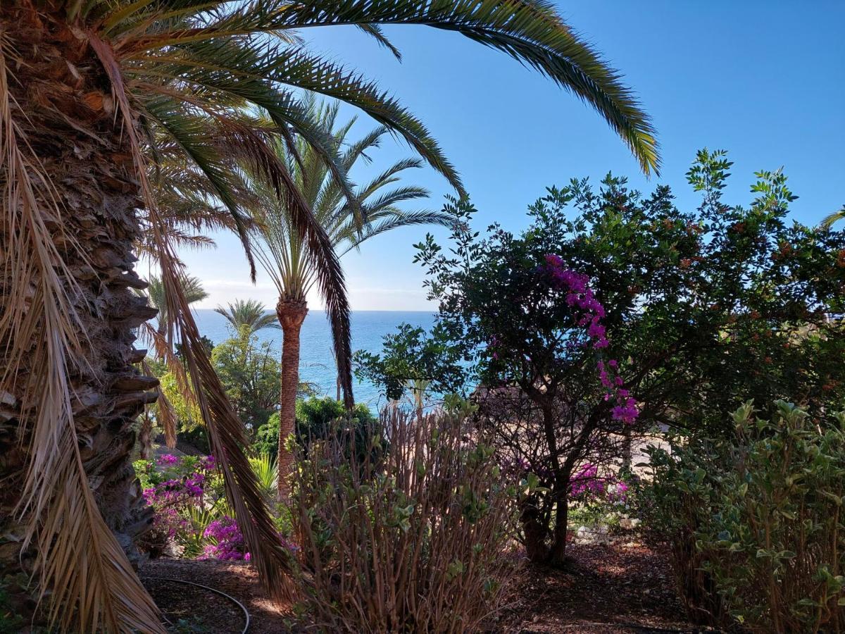 Estudio Espectacular Vista Mar مورو ذيل خابلِ المظهر الخارجي الصورة